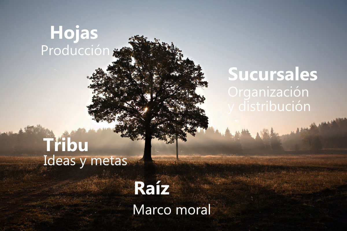 El árbol de la sociedad